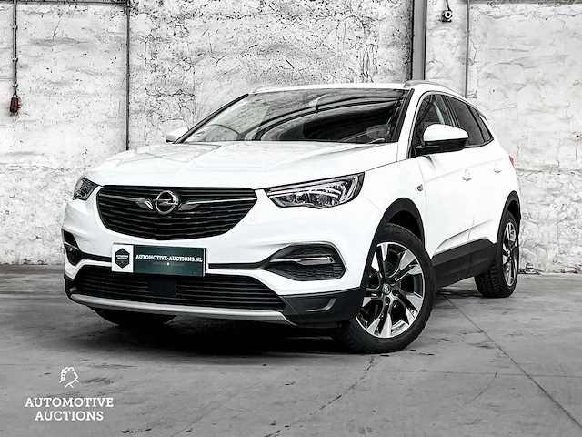 Opel grandland x 1.5 cdti business executive 131pk 2019 -orig. nl-, xs-181-b - afbeelding 1 van  58