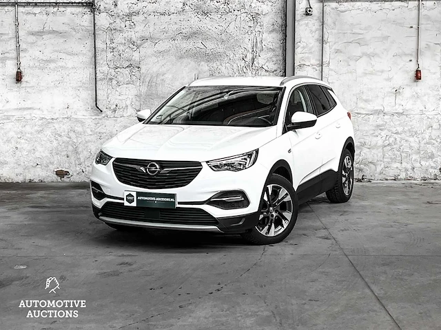 Opel grandland x 1.5 cdti business executive 131pk 2019 -orig. nl-, xs-181-b - afbeelding 19 van  58