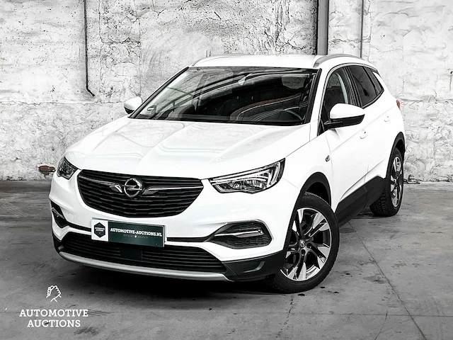Opel grandland x 1.5 cdti business executive 131pk 2019 -orig. nl-, xs-181-b - afbeelding 12 van  58