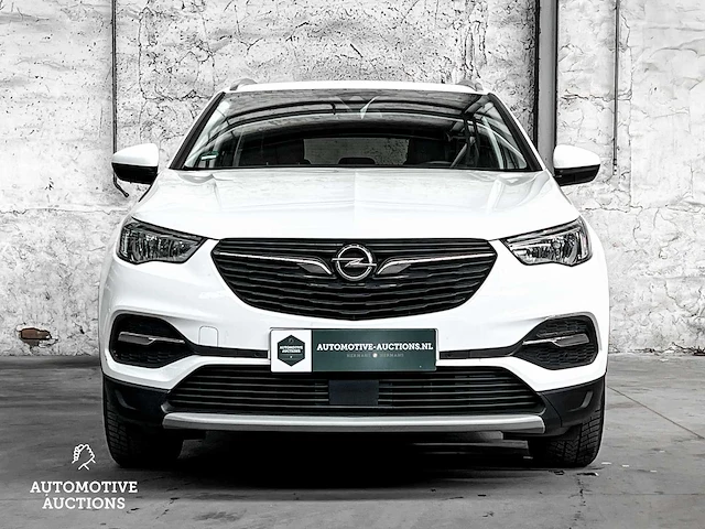 Opel grandland x 1.5 cdti business executive 131pk 2019 -orig. nl-, xs-181-b - afbeelding 45 van  58