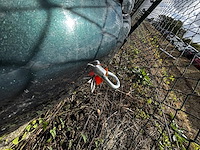 Opel vectra break design ed cdti,2005 - afbeelding 15 van  29