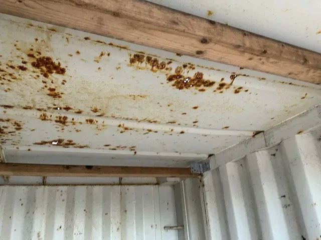 Opslagcontainer 10ft - afbeelding 7 van  7