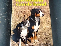 Opvoeding van de hond - afbeelding 1 van  5