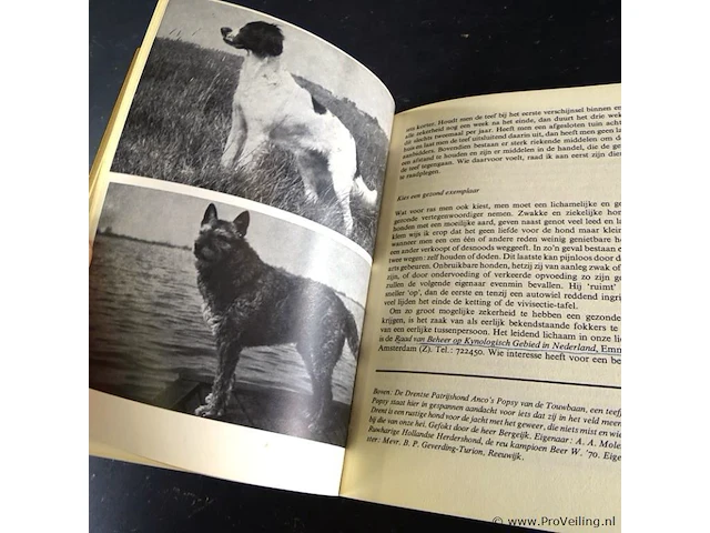 Opvoeding van de hond - afbeelding 4 van  5