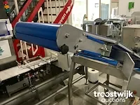 Opvoer transportband - afbeelding 4 van  4
