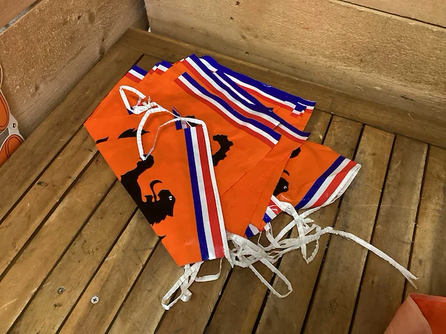 Oranje artikelen - afbeelding 6 van  16