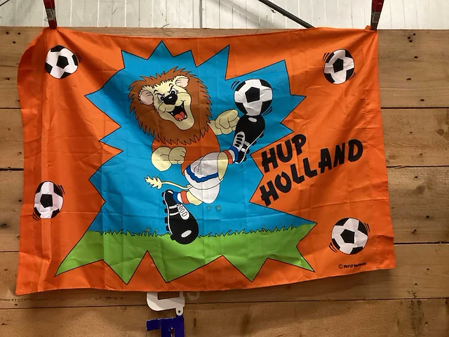 Oranje artikelen - afbeelding 10 van  16