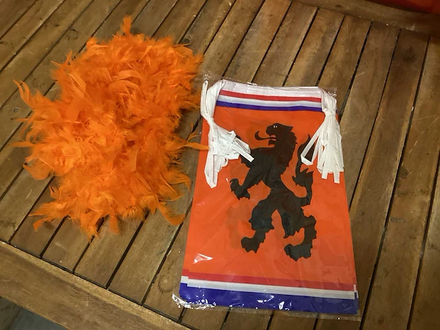 Oranje artikelen - afbeelding 3 van  13