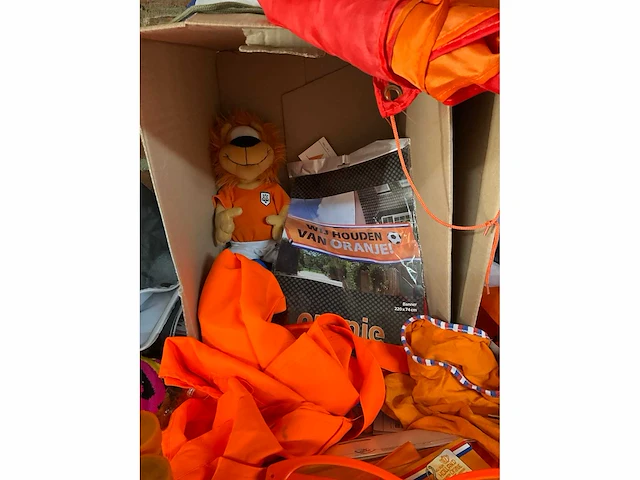 Oranje feestartikelen - afbeelding 4 van  10