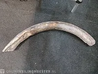 Origineel deel slagtand mammoet - afbeelding 1 van  4
