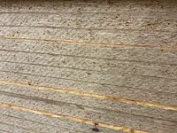 Osb 2500x1250x22mm (36x) - afbeelding 7 van  8