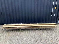 Oud eik europees (10x) - afbeelding 2 van  8