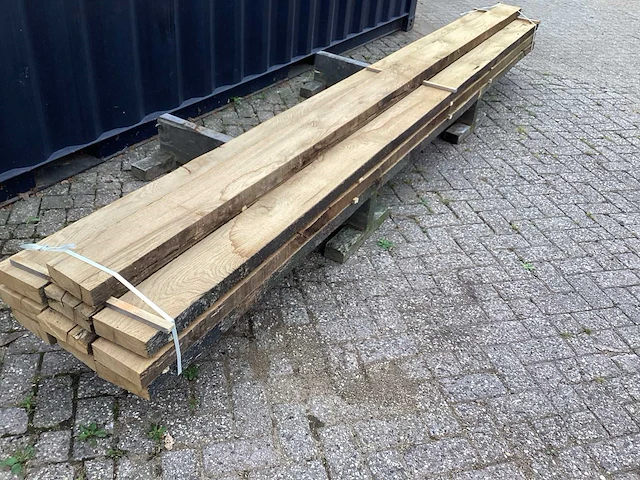 Oud eik europees (10x) - afbeelding 3 van  8
