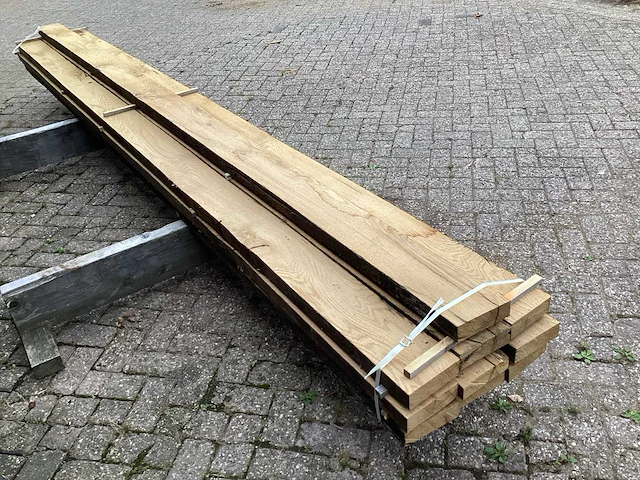 Oud eik europees (10x) - afbeelding 5 van  8