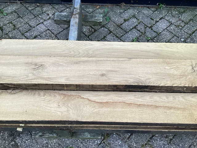 Oud eik europees (10x) - afbeelding 6 van  8