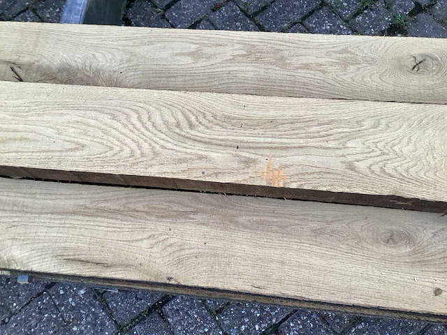 Oud eik europees (10x) - afbeelding 7 van  8