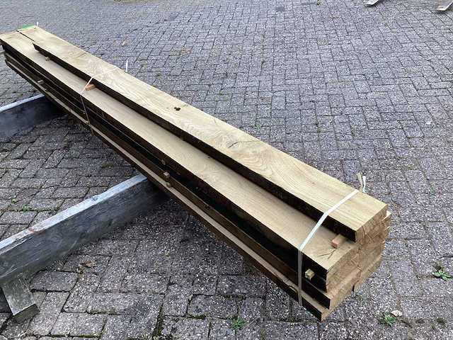 Oud eik europees (9x) - afbeelding 5 van  7
