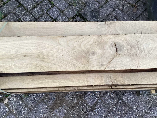 Oud eik europees (9x) - afbeelding 6 van  7