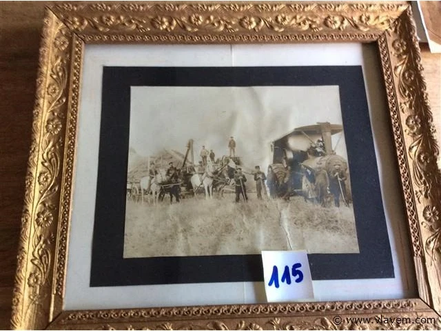 Oude foto landbouw - afbeelding 1 van  2