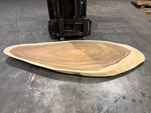 Ovaal suar boomstam tafelblad 290 cm. - afbeelding 1 van  2