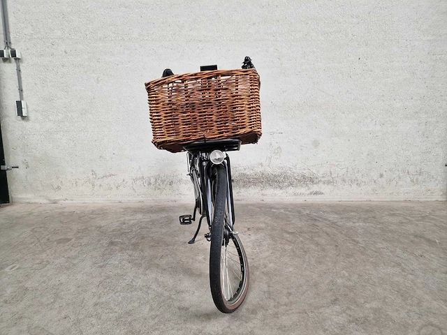 Ovalon - transport - elektrische fiets - afbeelding 5 van  10