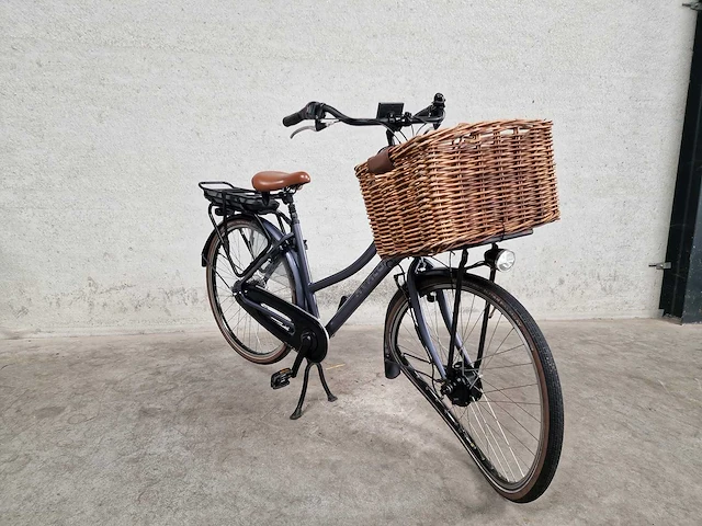 Ovalon - transport - elektrische fiets - afbeelding 6 van  10