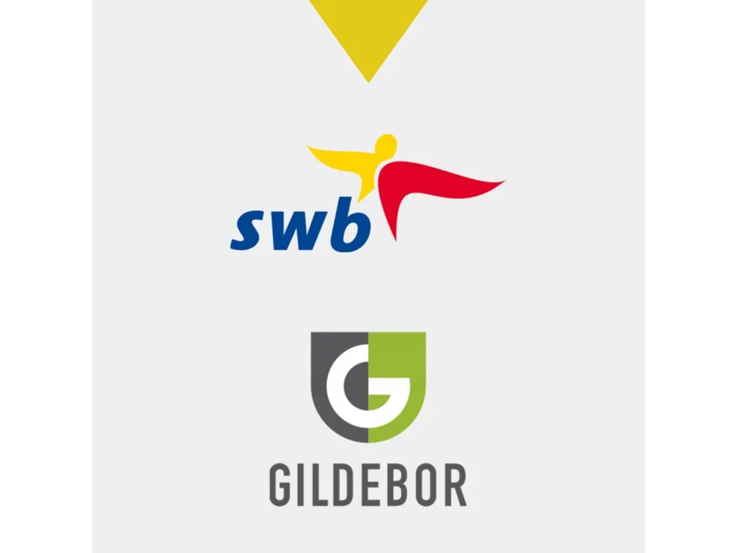 Overheidsveiling materieel gildebor