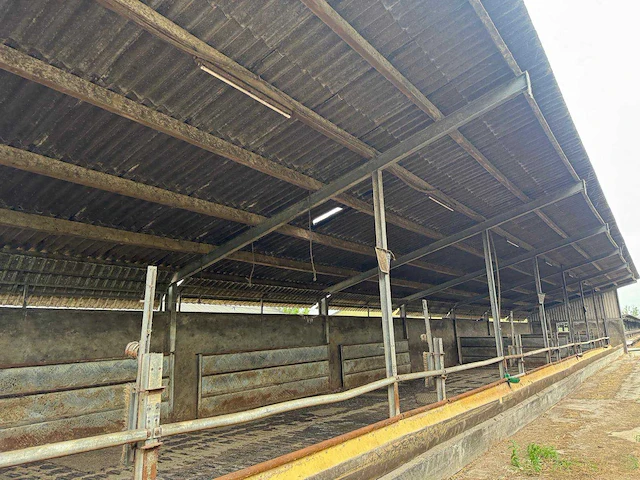 Overkapping (5,60x45,00 mtr) (252m²) - afbeelding 13 van  17