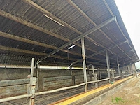 Overkapping (5,60x45,00 mtr) (252m²) - afbeelding 13 van  17