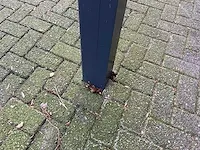 Overkapping - afbeelding 8 van  19
