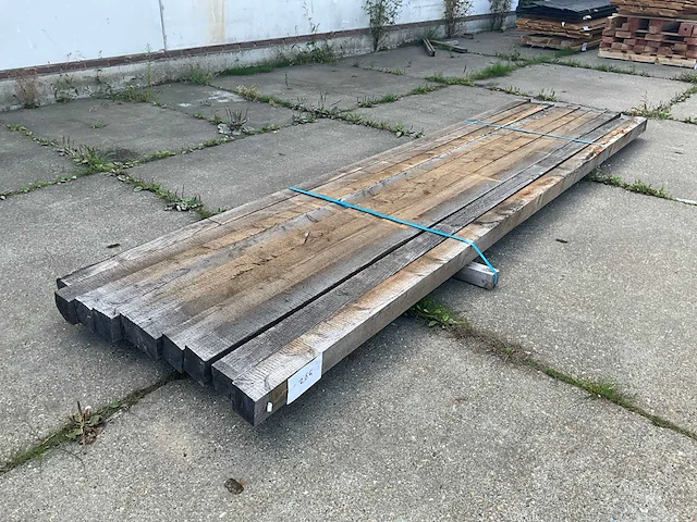 Paal larik (10x) - afbeelding 1 van  6