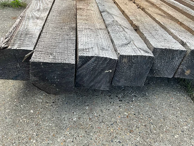 Paal larik (10x) - afbeelding 6 van  6