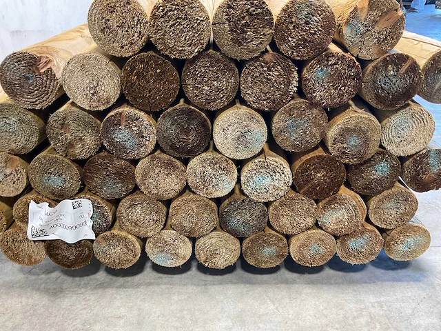 Paal rond gefreesd 1 zijde gekroond ø10x300 cm (25x) - afbeelding 7 van  8