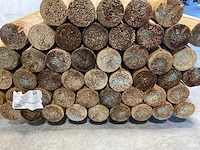 Paal rond gefreesd 1 zijde gekroond ø10x300 cm (25x) - afbeelding 7 van  8