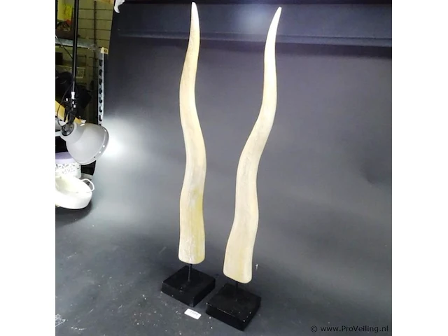 Paar hoge houten hoorns op basement - afbeelding 3 van  5