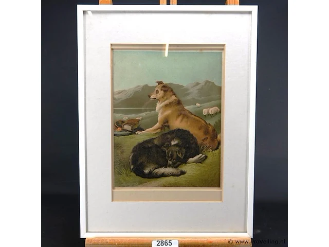 Paar honden - afbeelding 1 van  5