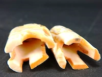 Paar olifanten - afbeelding 3 van  3