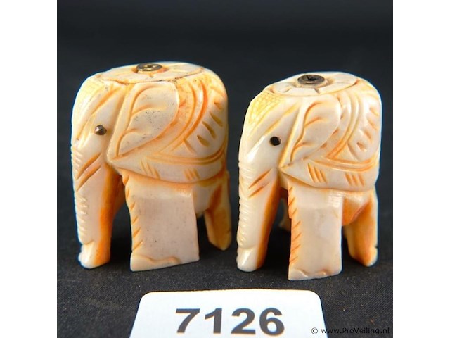 Paar olifanten - afbeelding 1 van  3