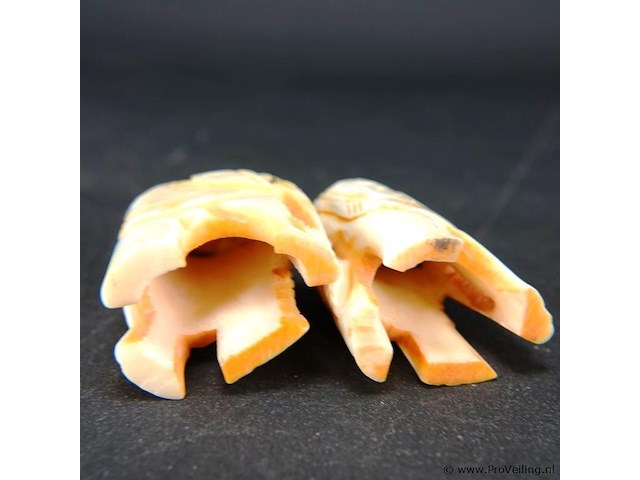 Paar olifanten - afbeelding 3 van  3