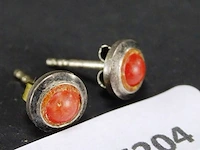 Paar oorsieraden met steen