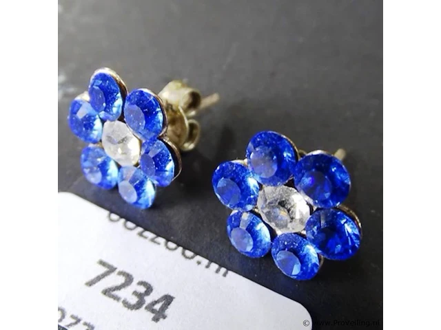 Paar oorsieraden - afbeelding 1 van  3