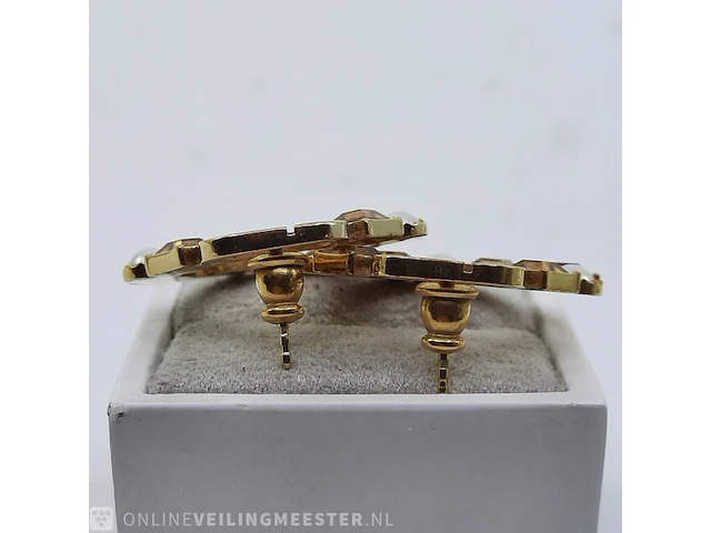 Paar oorstekers dior - afbeelding 7 van  11