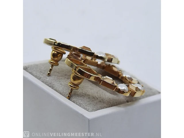 Paar oorstekers dior - afbeelding 8 van  11