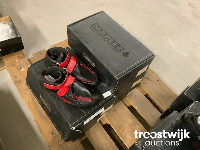 Paar schoenen - afbeelding 8 van  15