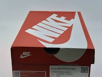 Paar sneakers, maat 41 nike, dunk low retro - dd1391-100 - afbeelding 2 van  10