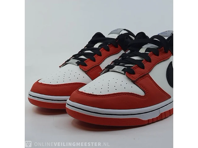 Paar sneakers, maat 41 nike, dunk low retro emb - dd363-100 - afbeelding 4 van  11