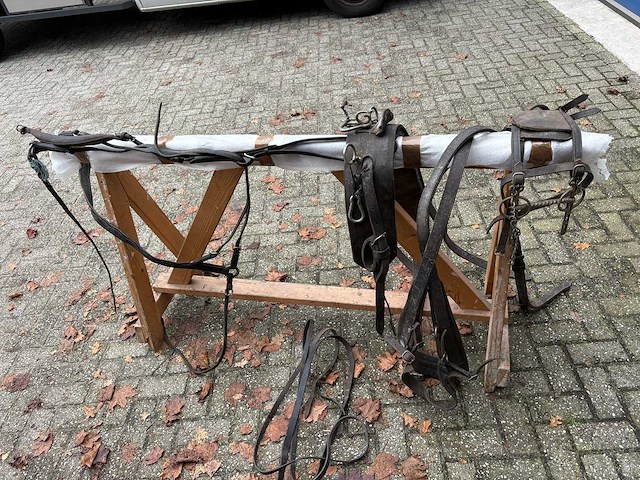 Paarden tuig + 2 dekens - afbeelding 2 van  7
