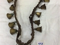 Paardenbellenriem - afbeelding 1 van  3