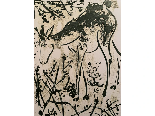 Pablo picasso - afbeelding 2 van  2