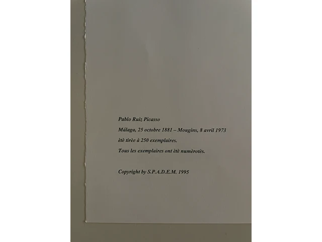 Pablo picasso - afbeelding 3 van  4